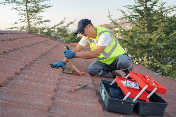Best Affordable Roof Replacement  in Caledonia, MI