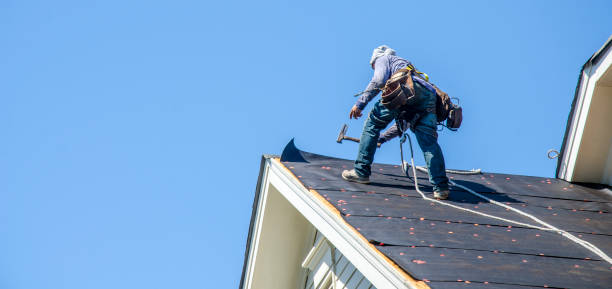 Best Roof Maintenance Services  in Caledonia, MI